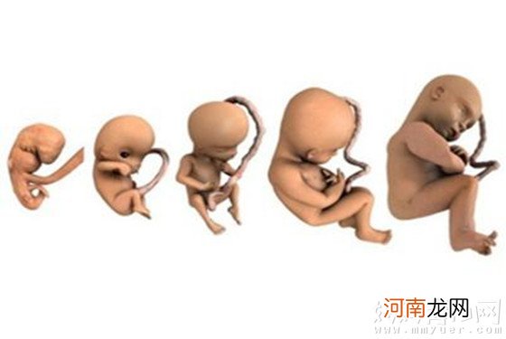 【怀孕38周】38周胎儿发育标准 38周胎儿双顶径标准