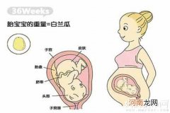一张图揭秘孕36周胎儿发育标准 1分钟读懂胎儿腹中情况