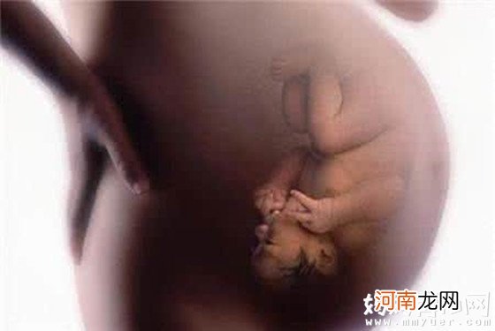 一张图揭秘孕36周胎儿发育标准 1分钟读懂胎儿腹中情况