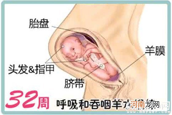 【怀孕32周】32周胎儿多大 孕32周胎儿发育指标标准