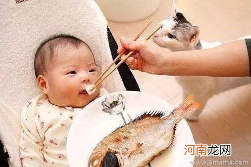 10个月宝宝吃什么鱼好3种鱼宝宝越吃越聪明