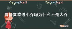 曹操是不是喜欢小乔 曹操喜欢过小乔吗为什么不是大乔