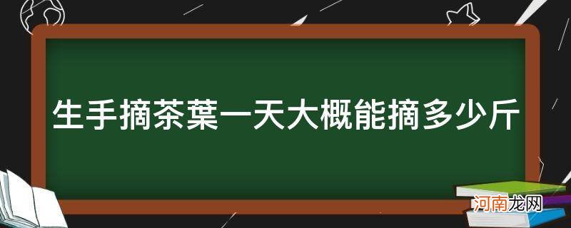 一斤茶叶要摘多久 生手摘茶叶一天大概能摘多少斤