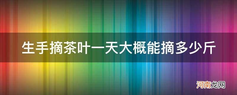 一斤茶叶要摘多久 生手摘茶叶一天大概能摘多少斤