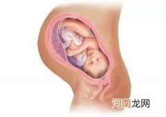 胎儿腿短吃什么可以补6种食物助你孕育大长腿宝宝