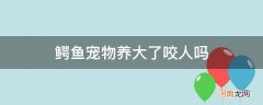 从小养鳄鱼长大咬人么 鳄鱼宠物养大了咬人吗