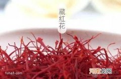 藏红花能天天喝吗？女性藏红花调经怎么吃？