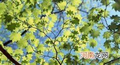 2岁11个月的小孩7月份怎么穿衣服刚好，宝宝夏天要睡凉席吗？