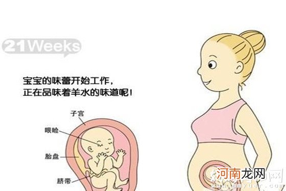 一张图，告诉你怀孕6个月肚子有多大 看完秒懂！