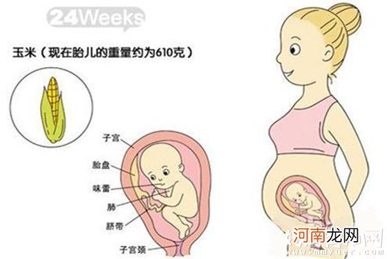 一张图，告诉你怀孕6个月肚子有多大 看完秒懂！