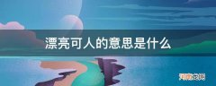 清秀可人是漂亮的意思吗 漂亮可人的意思是什么