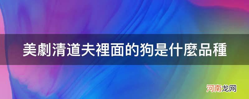 清道夫是什么物种 美剧清道夫里面的狗是什么品种