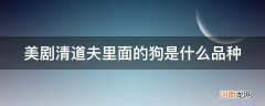 清道夫是什么物种 美剧清道夫里面的狗是什么品种