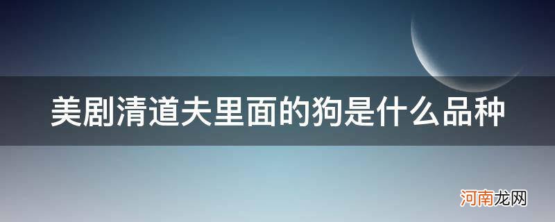 清道夫是什么物种 美剧清道夫里面的狗是什么品种