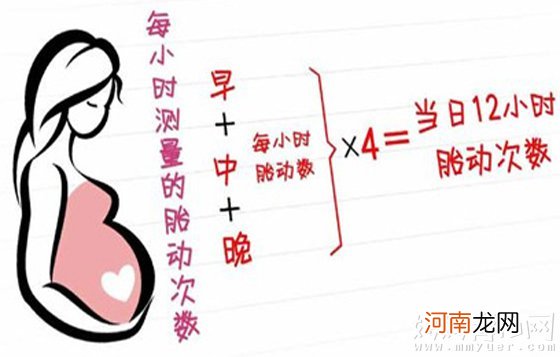 孕期数胎动的正确方法图 简单明了一看就懂