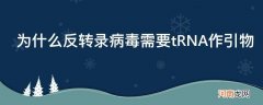 反转录病毒的引物 为什么反转录病毒需要tRNA作引物