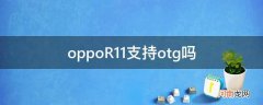 OPPOR11+OTG oppoR11支持otg吗