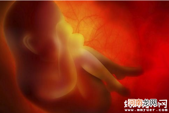 胚胎发育的各个时期图 原来胚胎在肚子里是这副模样