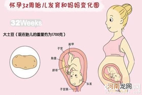 孕32周胎儿发育情况：孕32周胎儿双顶径、股骨长标准