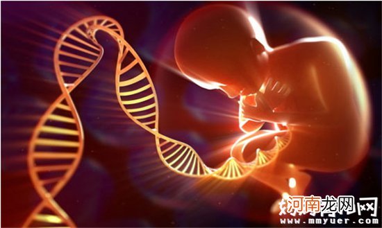 性格跟基因遗传有关吗 遗传基因给后代带来了什么