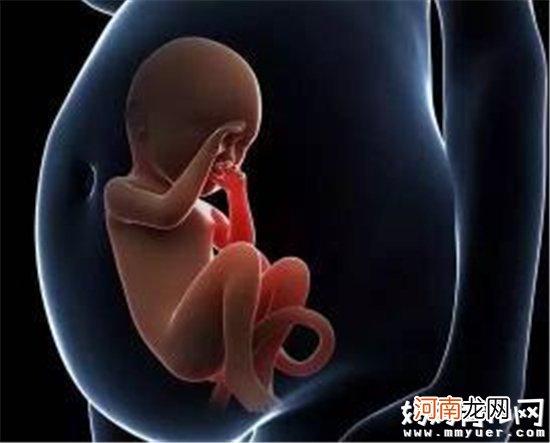 胎宝最好的玩具竟然是它 孕妈妈不知道的胎儿生活