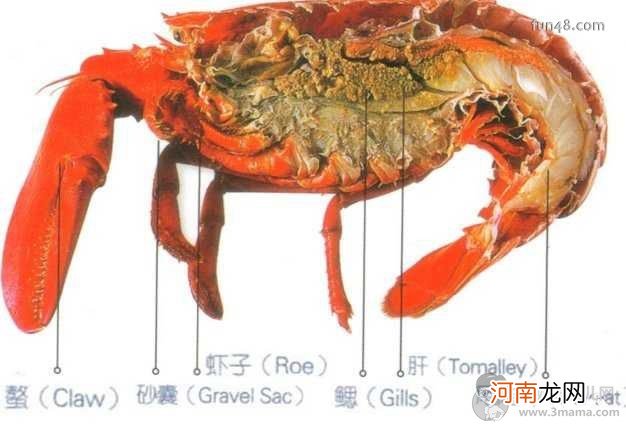 龙虾怎么吃?西餐厅怎么吃大龙虾?