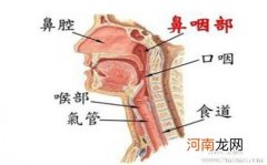 什么是鼻咽癌