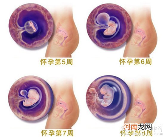 胎儿几个月听觉器官开始发育 听觉开始发育该如何胎教