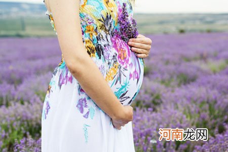 怀孕第10周 孕73天胎教故事《黑熊换鸡蛋》