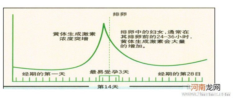 判断女性是否排卵的检查方法