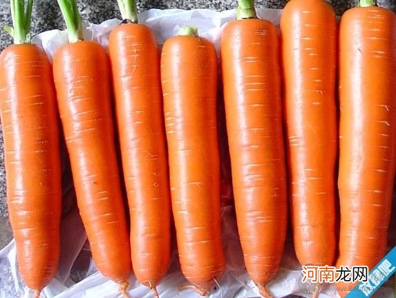 胡萝卜、土豆如何切更漂亮