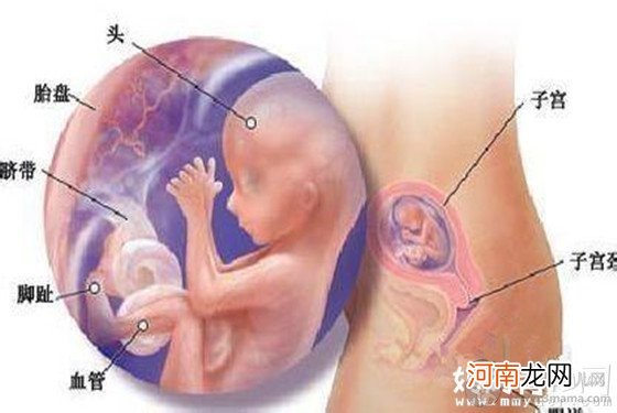 怀孕三个月症状变化 孕妈和胎儿的变化在这里！