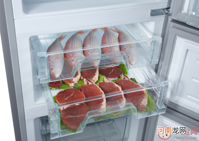 冰箱|冰箱一般存放多少食物更省电 蚂蚁庄园5月7日答案