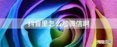 抖音里面微信怎么加 抖音里怎么加微信啊