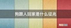 狗跟人回家代表什么 狗跟人回家是什么征兆