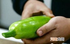 为宝宝制作辅食的第一步 挑选新鲜蔬菜的小技巧