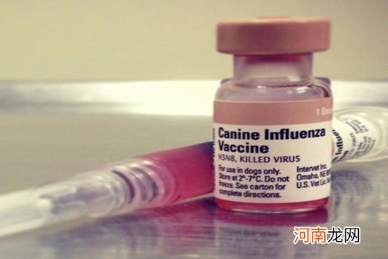 流感疫苗有必要打吗 流感疫苗多少钱一针？