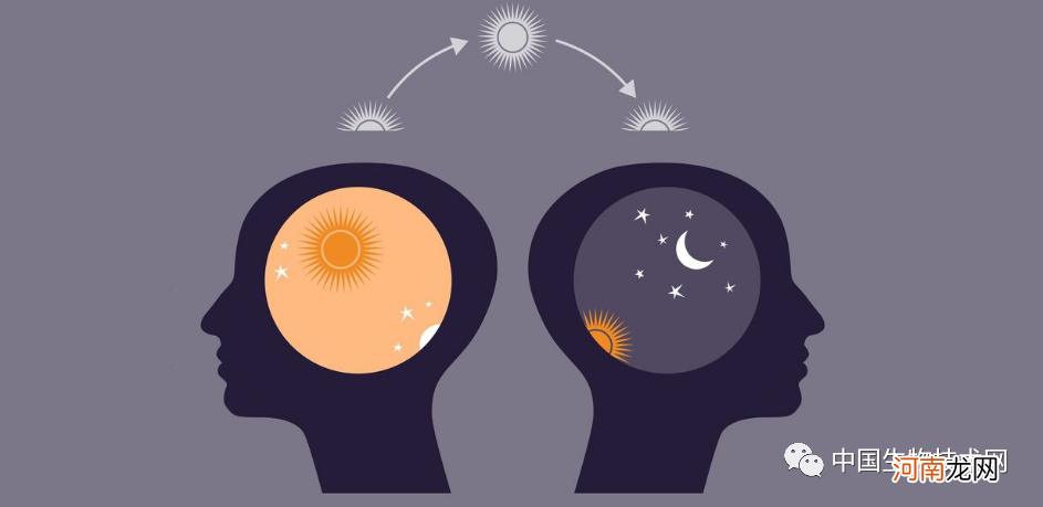 未老先“痴呆”？新研究发现熬夜会增加大脑中阿尔兹海默症相关蛋白的积聚