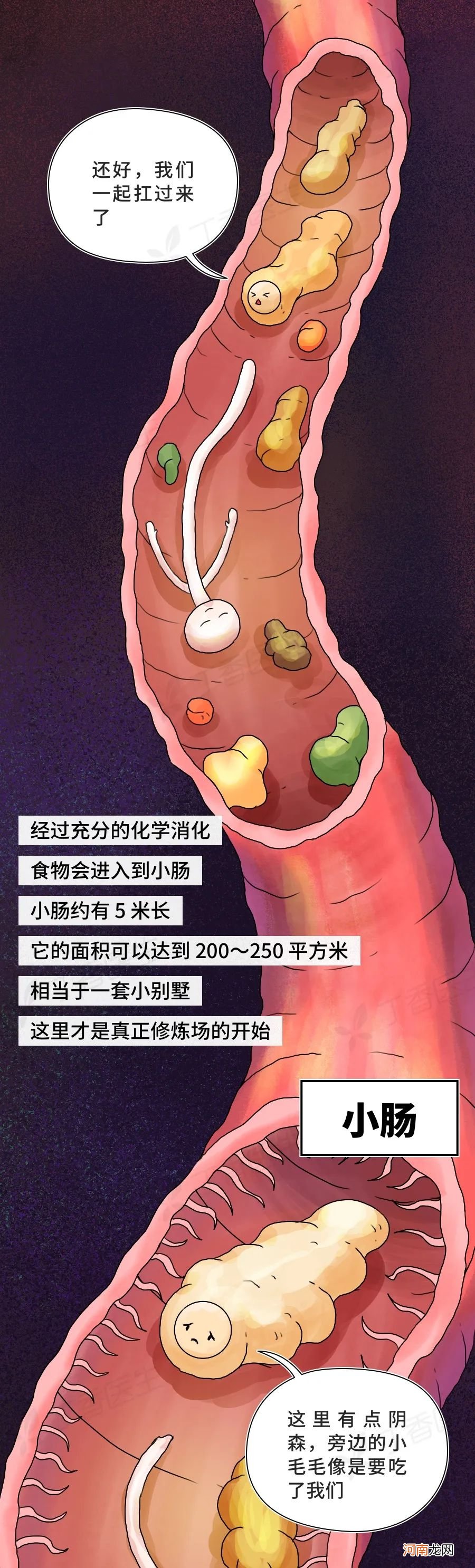 吃下去的金针菇，真的会原样拉出来？我们还原了下过程……