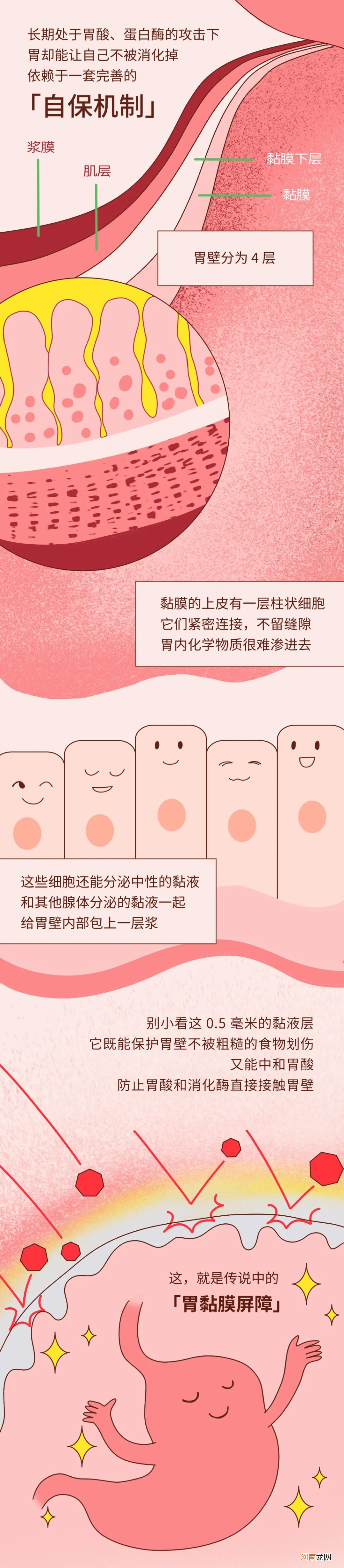 你的胃，就是这样坏掉的