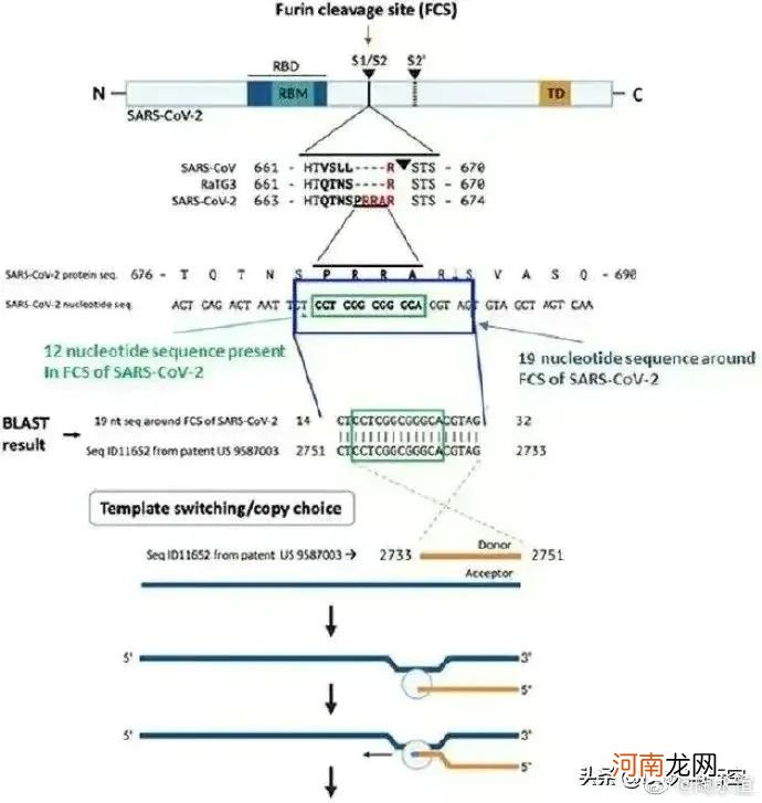 英媒宣称，研究证实新冠病毒是美国公司制造