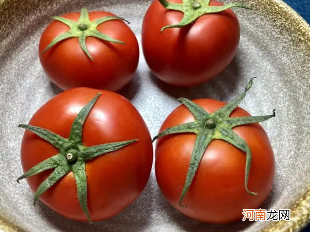 买西红柿，分清“5叶”“6叶”的区别