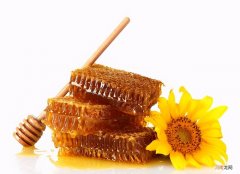 减肥能吃蜂蜜吗会胖吗