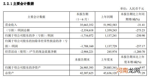 上海石化：上半年净利亏损17.16亿元