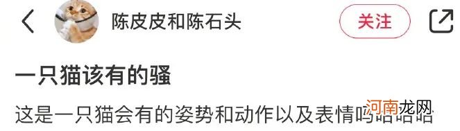 LV 居然出了狗窝，一个 20 万！狗看了都摇摇头表示不想住&#8230;&#8230;