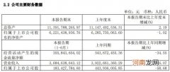 上海家化：上半年净利同比下降58.68%