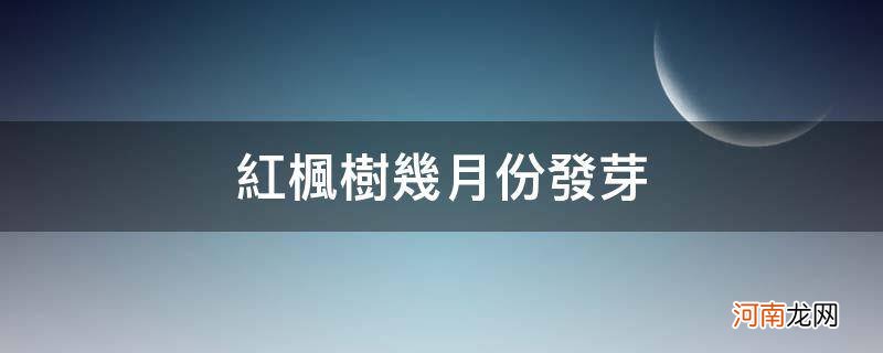 红枫树多长时间发芽 红枫树几月份发芽