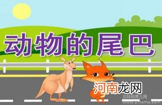 托班科学活动《奇妙的尾巴》了解动物尾巴的形状和作用