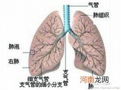 小儿肺炎怎么办 走出小儿肺炎认识五大误区