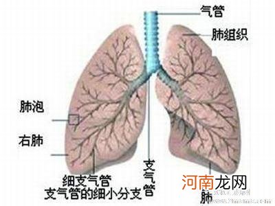 小儿肺炎怎么办 走出小儿肺炎认识五大误区